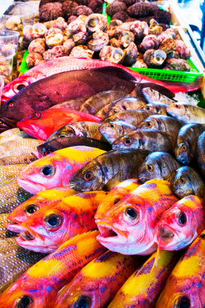 Colorful fresh fish in the Okinawa market, Japanの写真素材