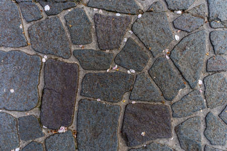 Texture of the Japanese stone roadの写真素材