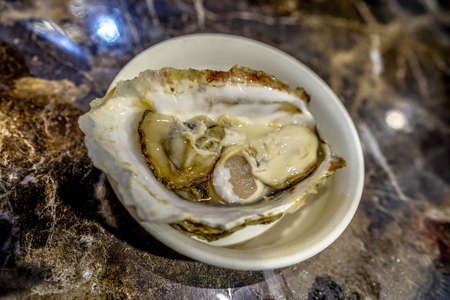Japanese Food: Fresh Japanses oyster ready to eat