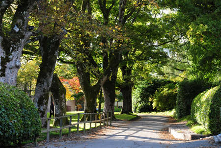 Gardenの写真素材