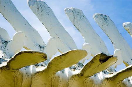 Vertebraeの写真素材