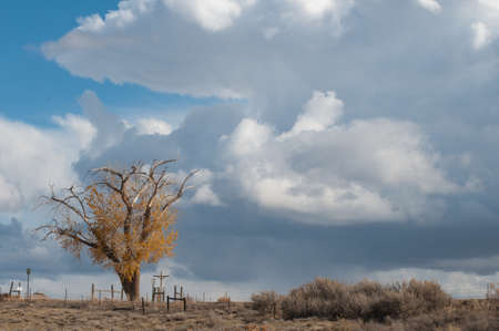 Late Autumn Skyの写真素材