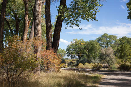 Walk in the Countryの写真素材