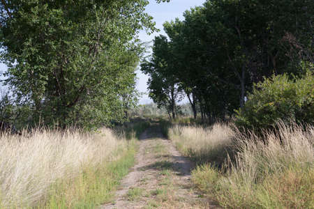 Unpaved dirt road  in countryside