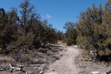 Hiking trail through pinyon-juniper woodlands in the Colorado National Monument in western Colorado.の写真素材