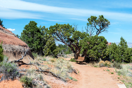 Hiking trail in Colorado National Monument in the United States of Americaの写真素材