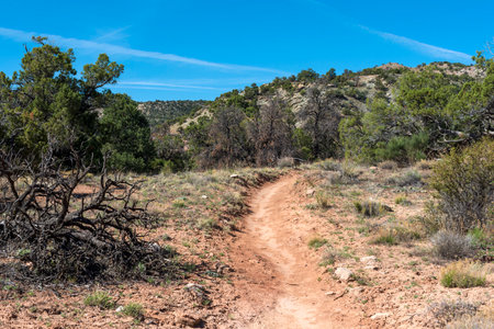 Hiking trail in the Colorado National Monumentの写真素材