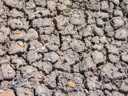 Dry cracked earth in the arid season. Global warming concept.の写真素材