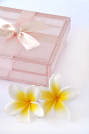 Composition of two flower and gift box on white background.の写真素材