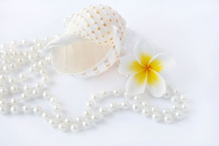 Close-up of shell, pearl jewelry and flower on white backgroundの写真素材