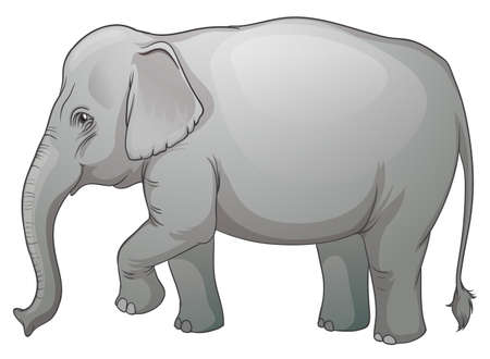 Illustration on an Asian elephant (Elephas maximus)のイラスト素材