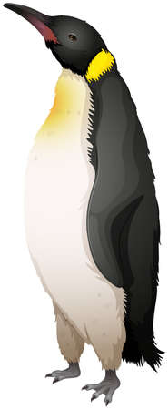 Illustration of the emperor penguinのイラスト素材