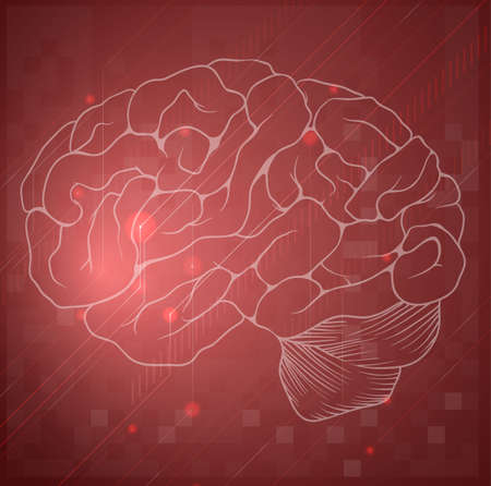 Illustration of the Human Brainのイラスト素材