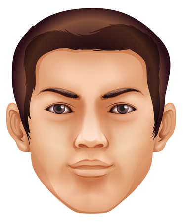 Illustration of a human face featureのイラスト素材