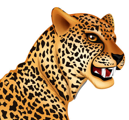 Illustration showing the cheetahのイラスト素材
