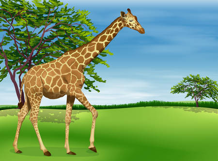 Illustration of a giraffeのイラスト素材