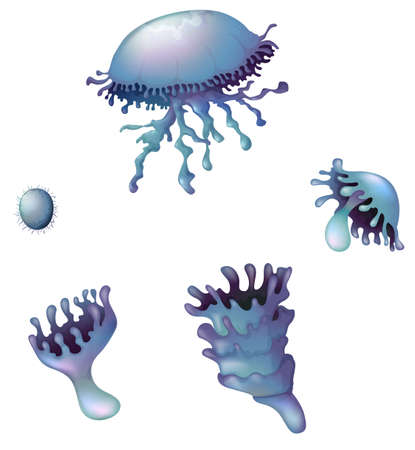 Illustration of a jellyfish on a white backgroundのイラスト素材