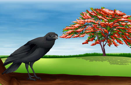 Illustration of a birdのイラスト素材