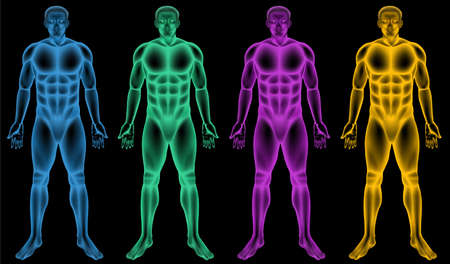  Illustration of the coloured male bodiesのイラスト素材