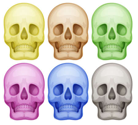 Illustration of the colorful skulls on a white backgroundのイラスト素材
