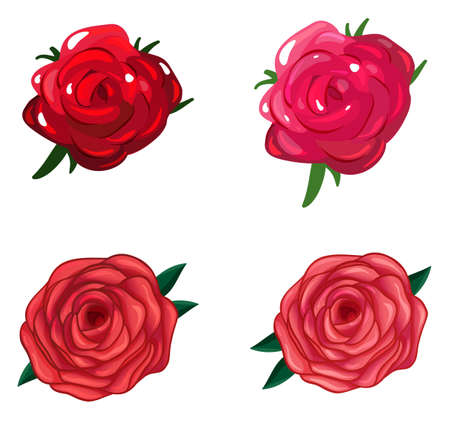 Illustration of a rose flower on a white backgroundのイラスト素材