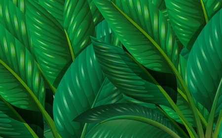 Illustration of the leavesのイラスト素材