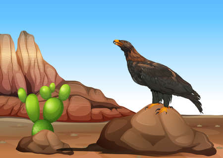 Illustration of an eagleのイラスト素材