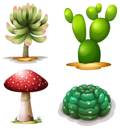 Illustration of a mushroom and cacti on a white backgroundのイラスト素材