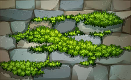 Illustration of a wall with plantsのイラスト素材