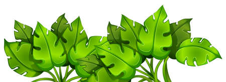 Illustration of the green leafy plant on a white backgroundのイラスト素材