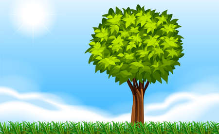 Illustration showing a summer sceneryのイラスト素材