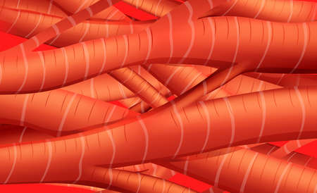 Illustration of the muscle tissuesのイラスト素材