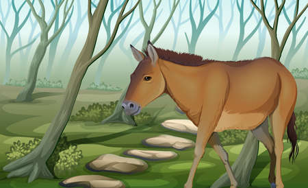 Illustration of a horse at the forest のイラスト素材