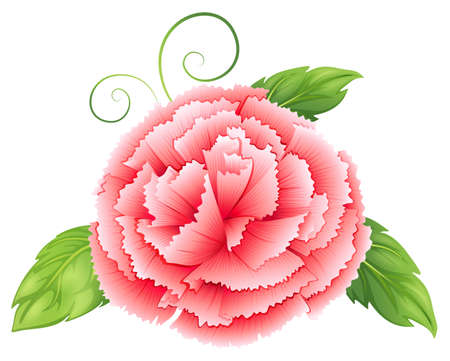 Illustration of a carnation pink flower with leaves on a white backgroundのイラスト素材