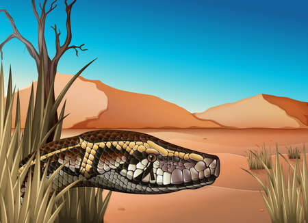 Illustration of a desert with a reptileのイラスト素材
