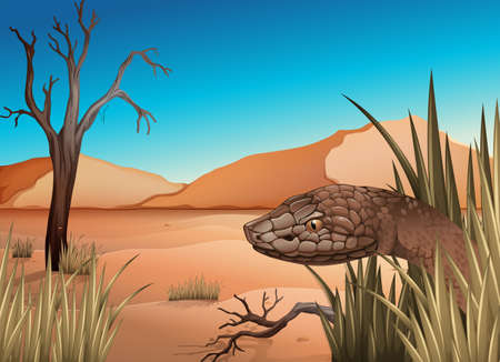 Illustration of a snake at the desertのイラスト素材