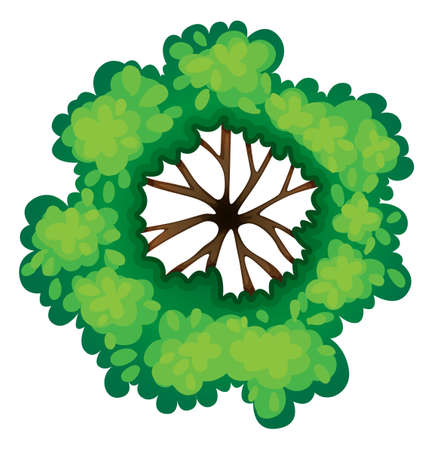 Illustration of a view of a tree from the top on a white backgroundのイラスト素材