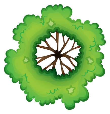 Illustration of a birdeye view of a green plant on a white backgroundのイラスト素材