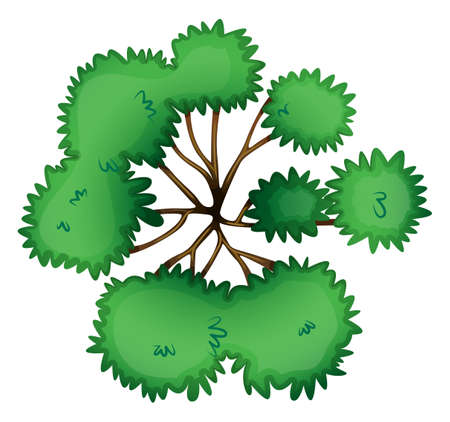 Illustration of a topview of a tree on a white backgroundのイラスト素材