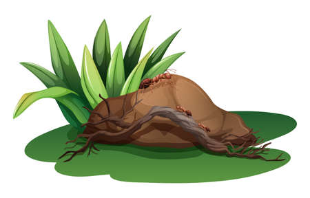 Illustration of a rock near the grass with a wood and ants on a white backgroundのイラスト素材