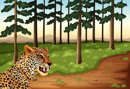 Illustration of a leopard at the forestのイラスト素材