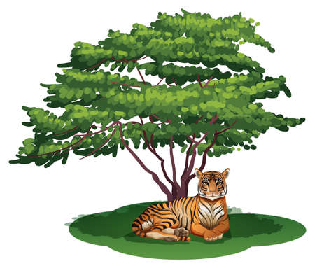 Illustration of a tiger under the tree on a white backgroundのイラスト素材