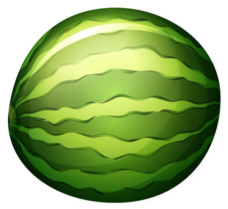 Illustration of a watermelon on a white backgroundのイラスト素材