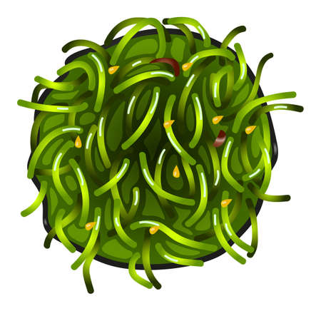 Illustration of a topview of a vegetable sushi on a white backgroundのイラスト素材