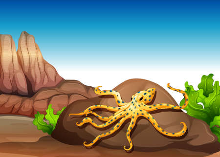 Illustration of an octopus at the rockのイラスト素材