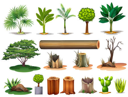 Illustration of the trees and stumps on a white backgroundのイラスト素材