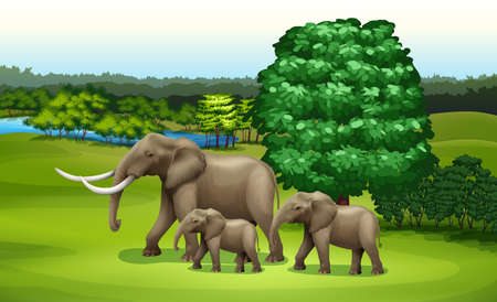 Illustration of the elephants and the green plantsのイラスト素材