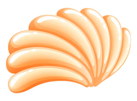 Illustration of a seashell on a white background のイラスト素材