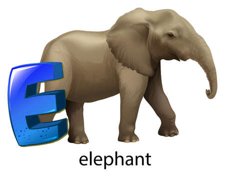 Illustration of a letter E for elephant on a white background のイラスト素材