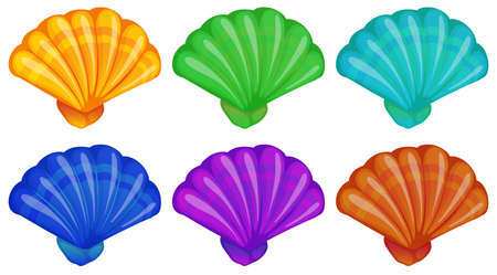 Illustration of a group of shells on a white background  のイラスト素材